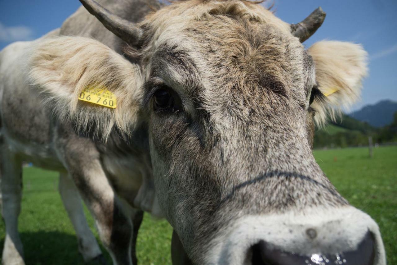 Geigers Ferienhaus Tiefenbach bei Oberstdorf Exterior foto