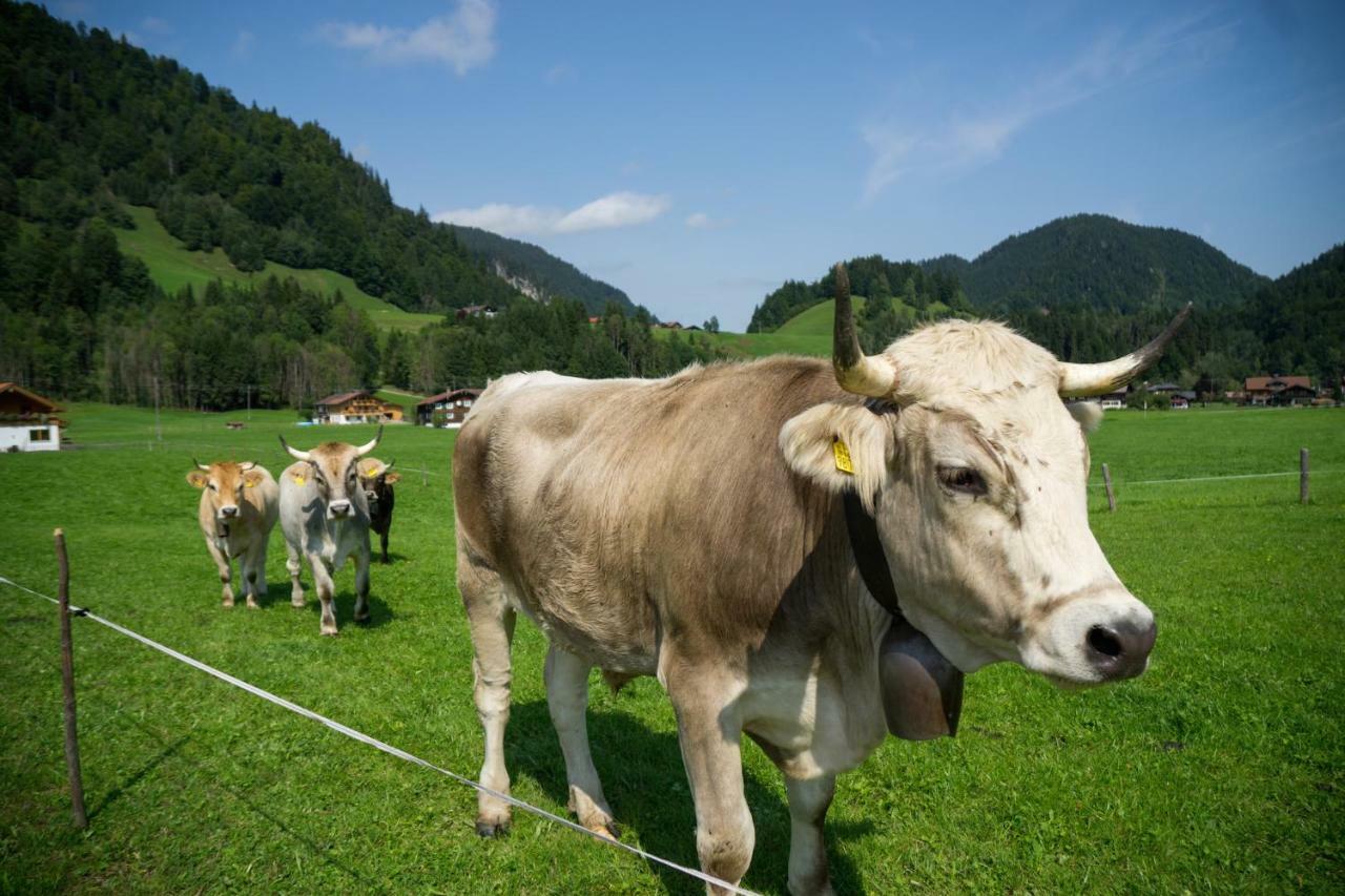 Geigers Ferienhaus Tiefenbach bei Oberstdorf Exterior foto
